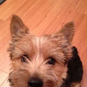 Meet your Posher, Jill